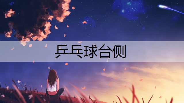 乒乓球台侧