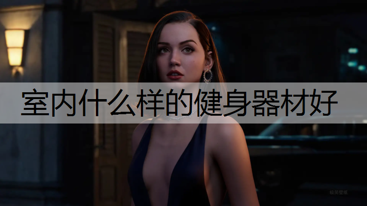 室内什么样的健身器材好