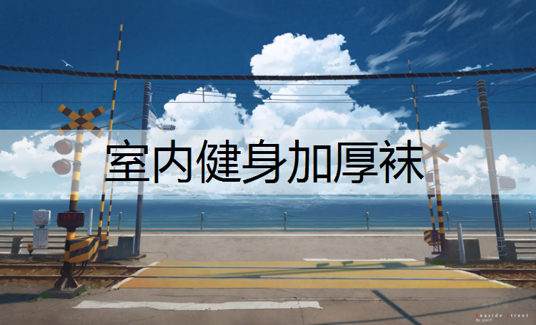 室内健身加厚袜