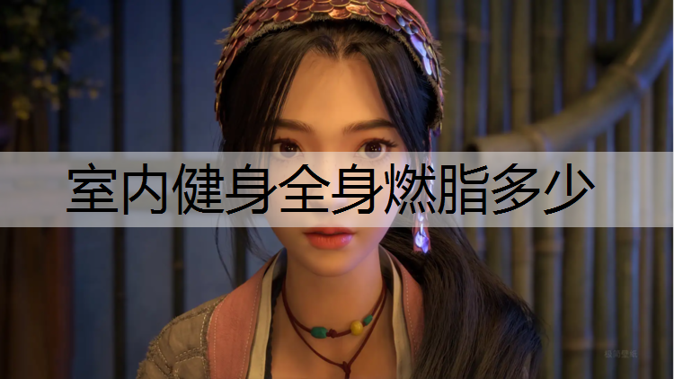 室内健身全身燃脂多少