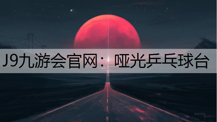 J9九游会官网：哑光乒乓球台
