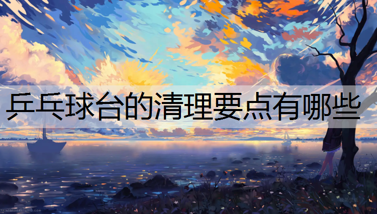 乒乓球台的清理要点有哪些