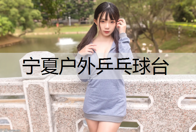 宁夏户外乒乓球台