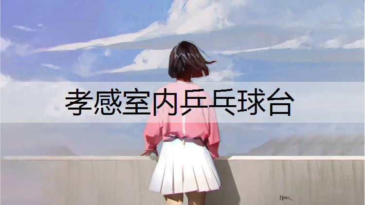 孝感室内乒乓球台