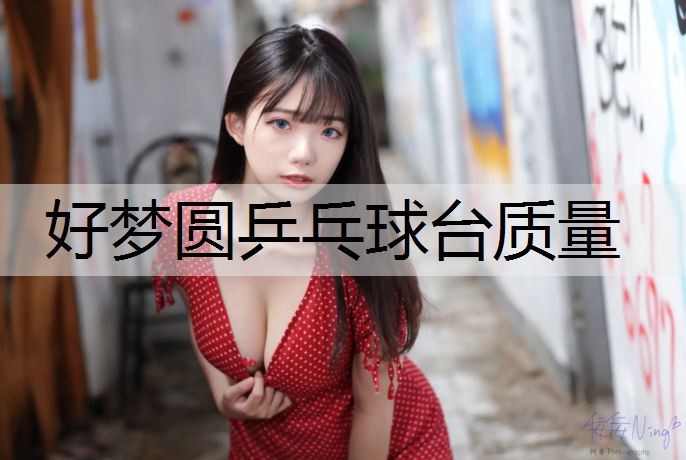 好梦圆乒乓球台质量