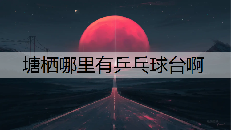 塘栖哪里有乒乓球台啊