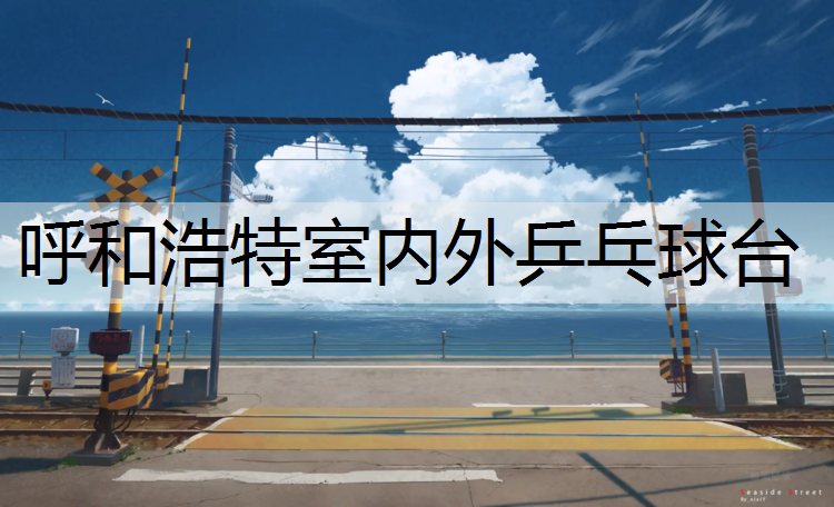 呼和浩特室内外乒乓球台