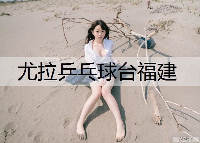 尤拉乒乓球台福建