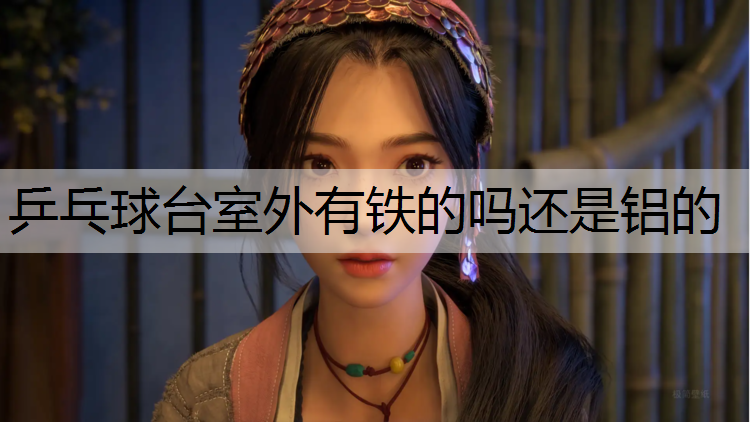 乒乓球台室外有铁的吗还是铝的