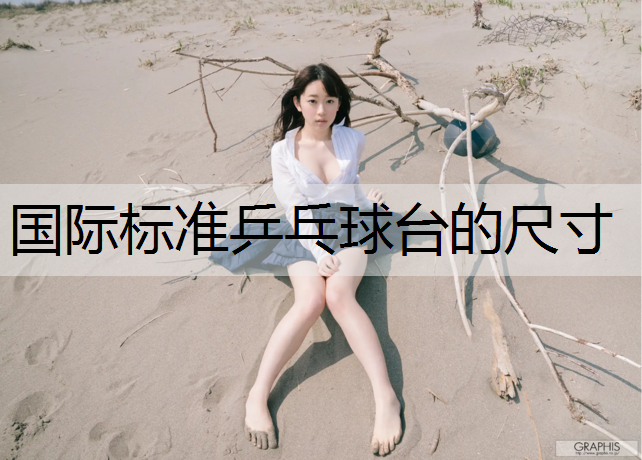 国际标准乒乓球台的尺寸