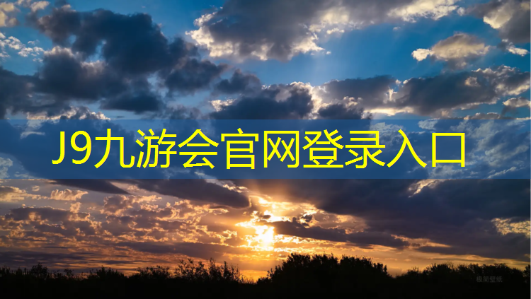 J9九游会官网登录入口：液压踏步机健身器
