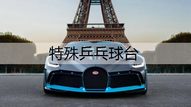 特殊乒乓球台