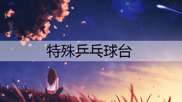 特殊乒乓球台