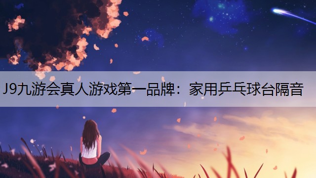 家用乒乓球台隔音