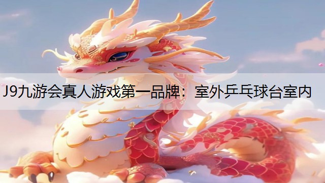 室外乒乓球台室内