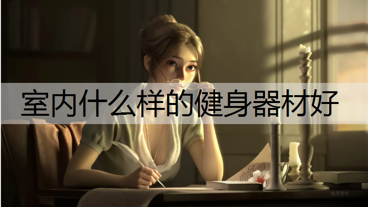 室内什么样的健身器材好