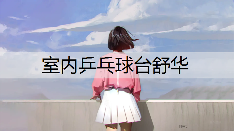 室内乒乓球台舒华