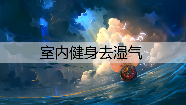 室内健身去湿气
