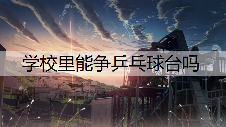 学校里能争乒乓球台吗