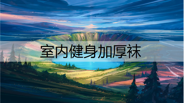 室内健身加厚袜
