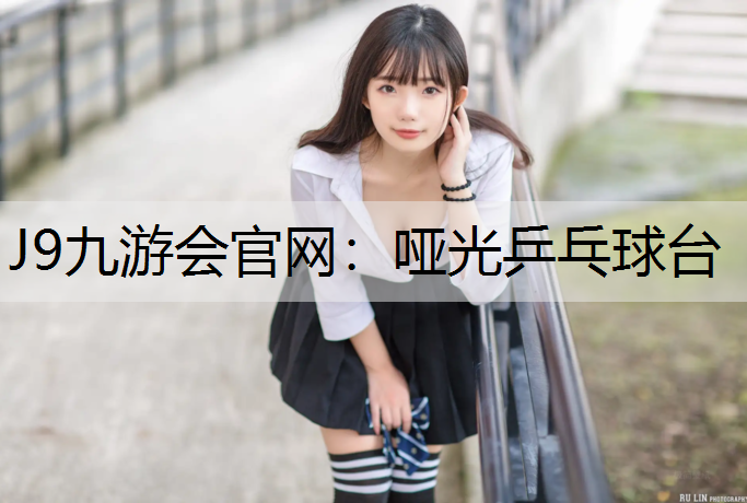 哑光乒乓球台
