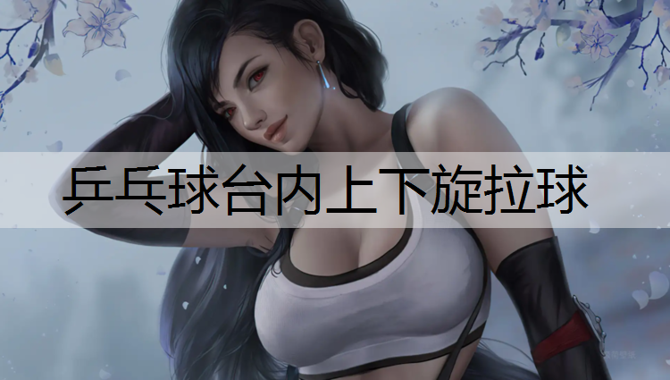 乒乓球台内上下旋拉球