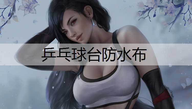 乒乓球台防水布 乒乓球台防水布