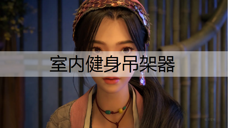 室内健身吊架器