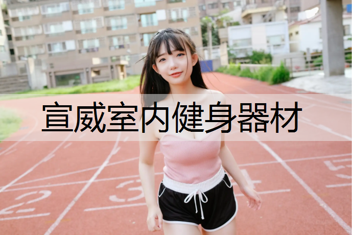 宣威室内健身器材
