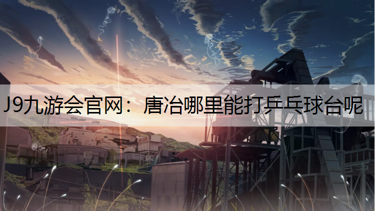 唐冶哪里能打乒乓球台呢